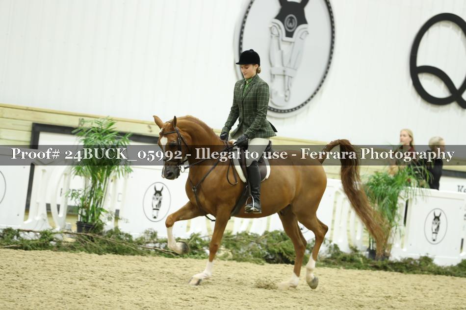 Proof 24BUCK_05992