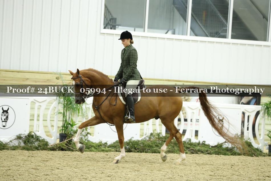 Proof 24BUCK_05994