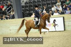 24BUCK_06000 proof