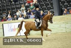 24BUCK_06001 proof