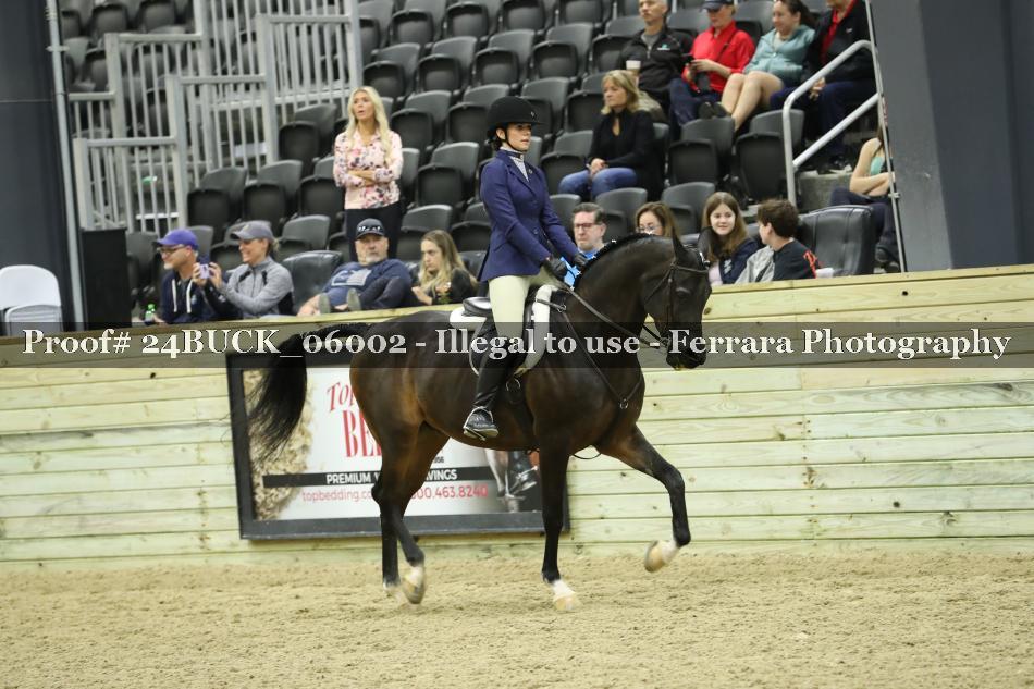 Proof 24BUCK_06002
