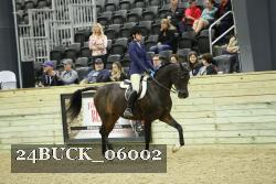 24BUCK_06002 proof