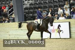 24BUCK_06003 proof