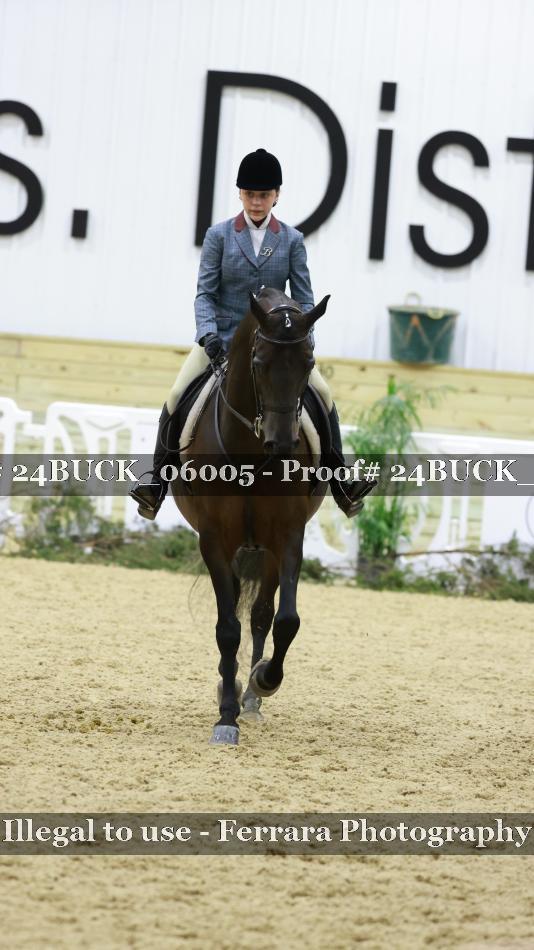 Proof 24BUCK_06005