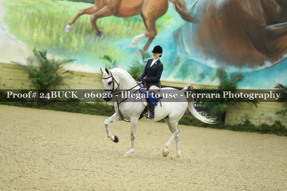 Proof 24BUCK_06026