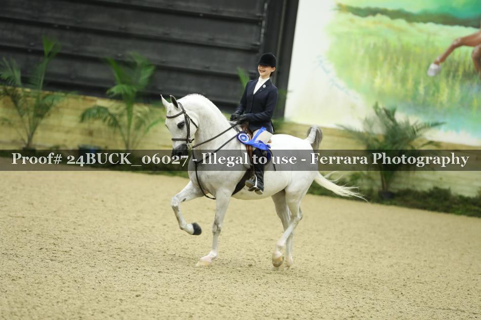 Proof 24BUCK_06027