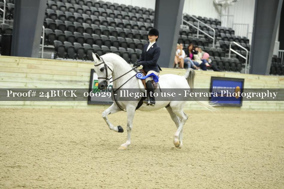 Proof 24BUCK_06029
