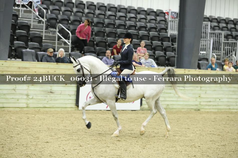 Proof 24BUCK_06031