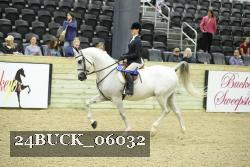 24BUCK_06032 proof