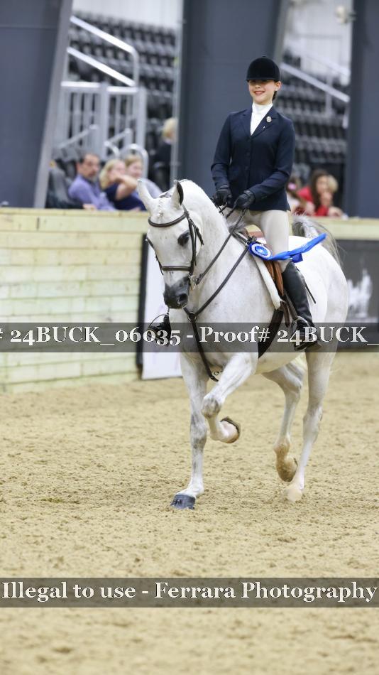 Proof 24BUCK_06035