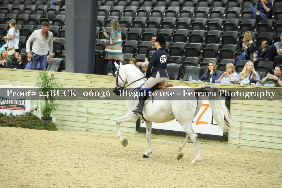 Proof 24BUCK_06036
