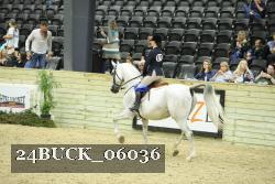 24BUCK_06036 proof