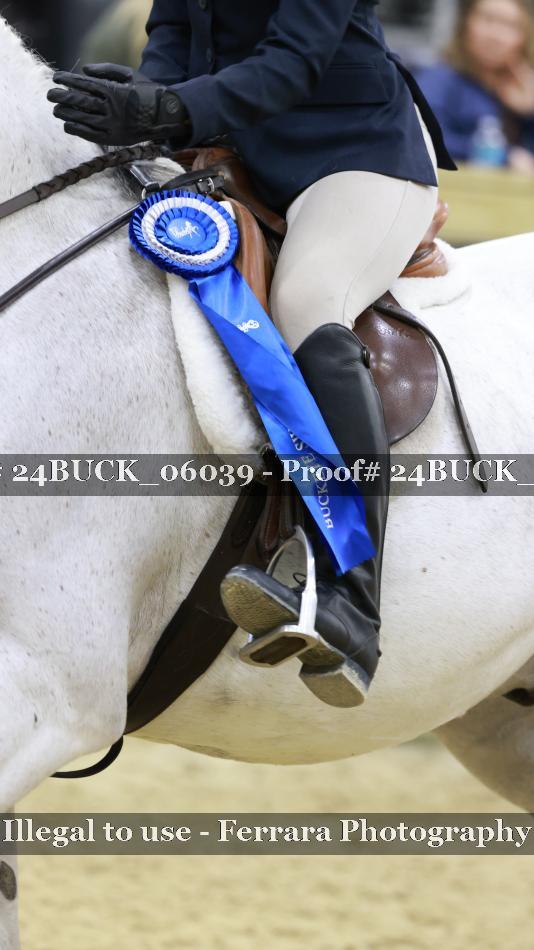 Proof 24BUCK_06039