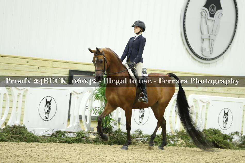 Proof 24BUCK_06042