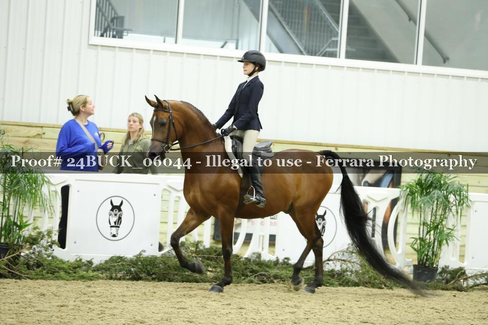 Proof 24BUCK_06044