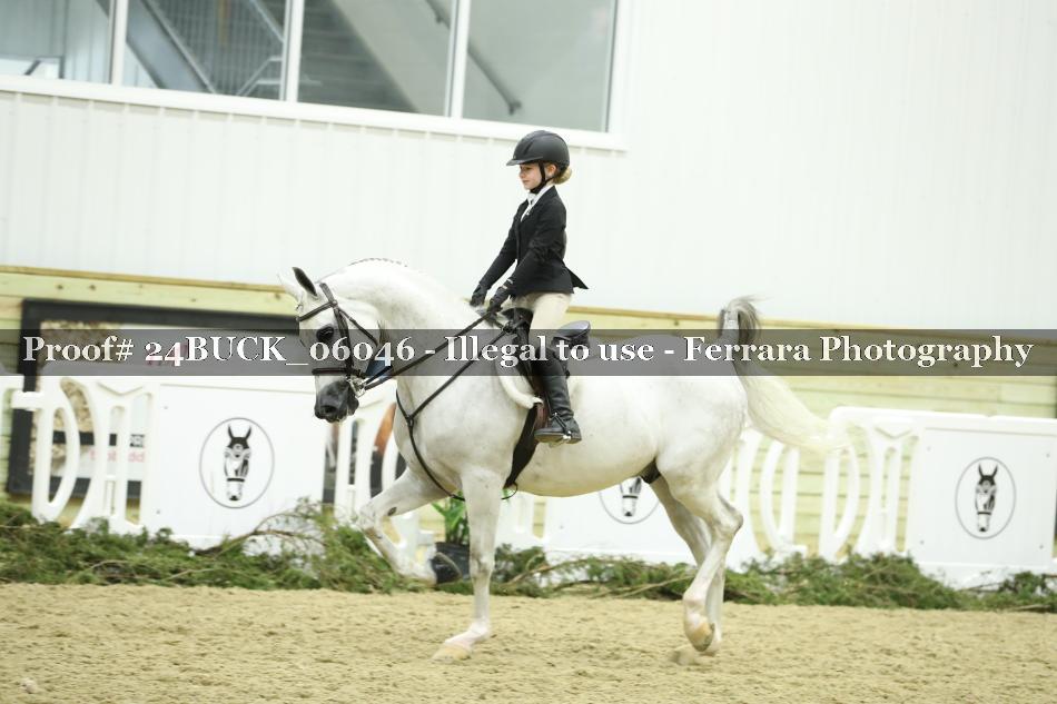 Proof 24BUCK_06046