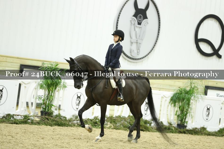 Proof 24BUCK_06047
