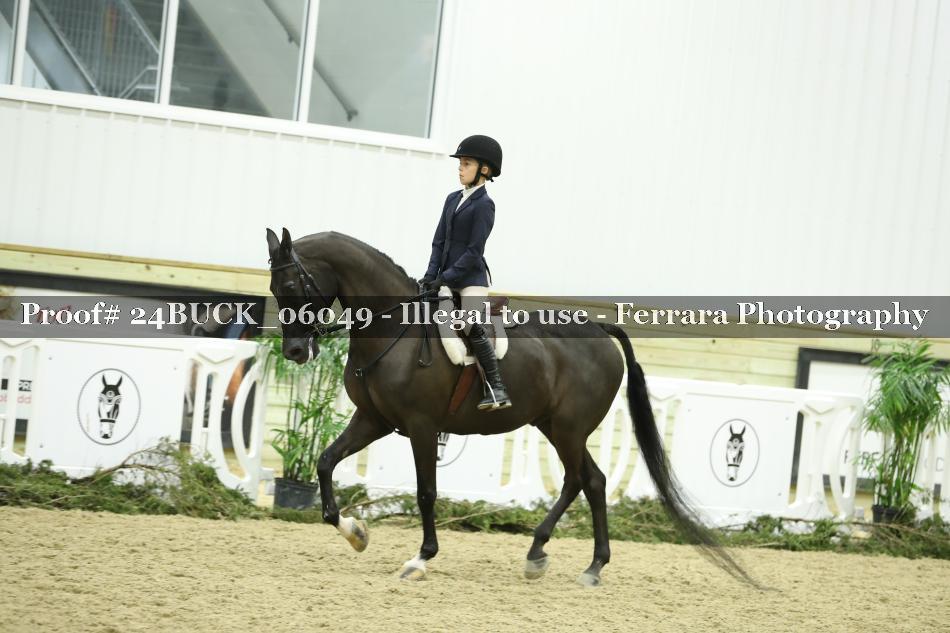 Proof 24BUCK_06049