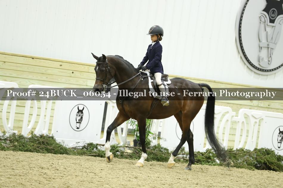Proof 24BUCK_06054