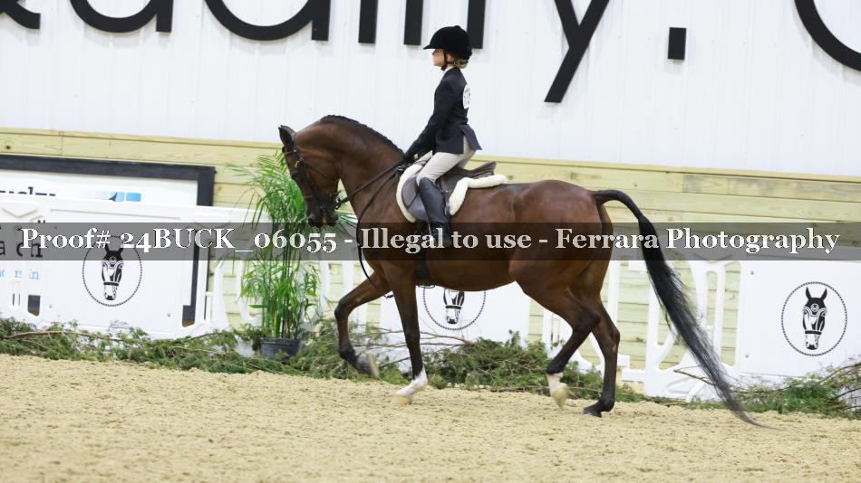 Proof 24BUCK_06055