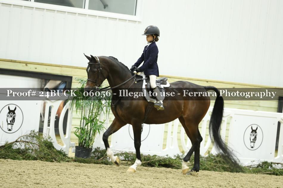 Proof 24BUCK_06056