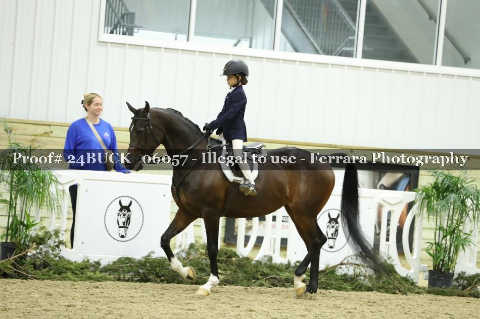 Proof 24BUCK_06057