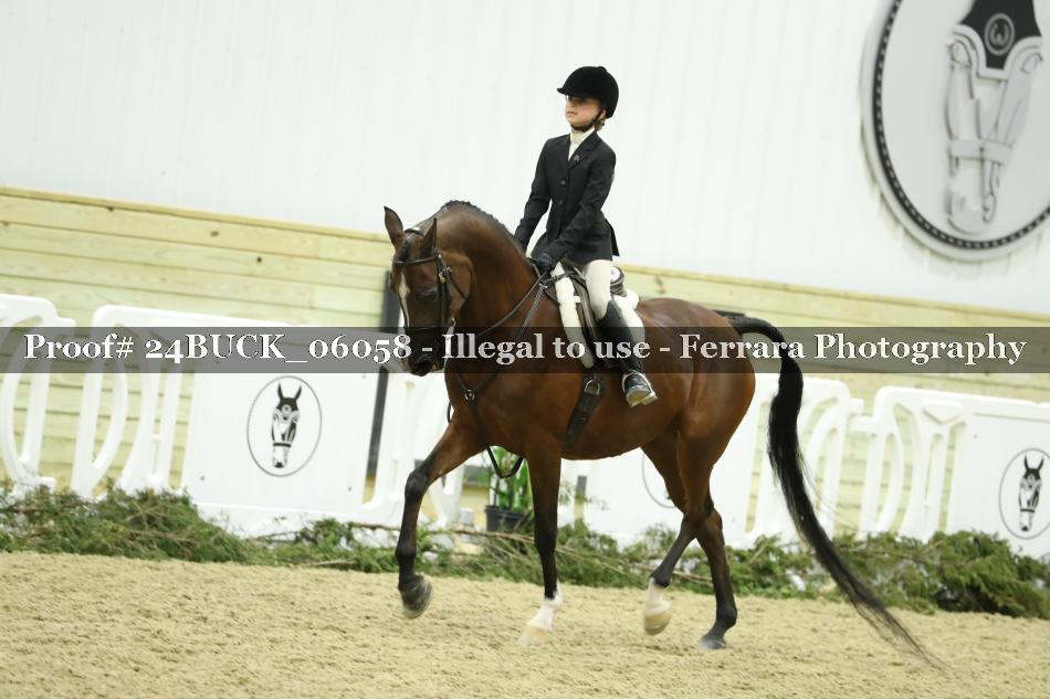 Proof 24BUCK_06058