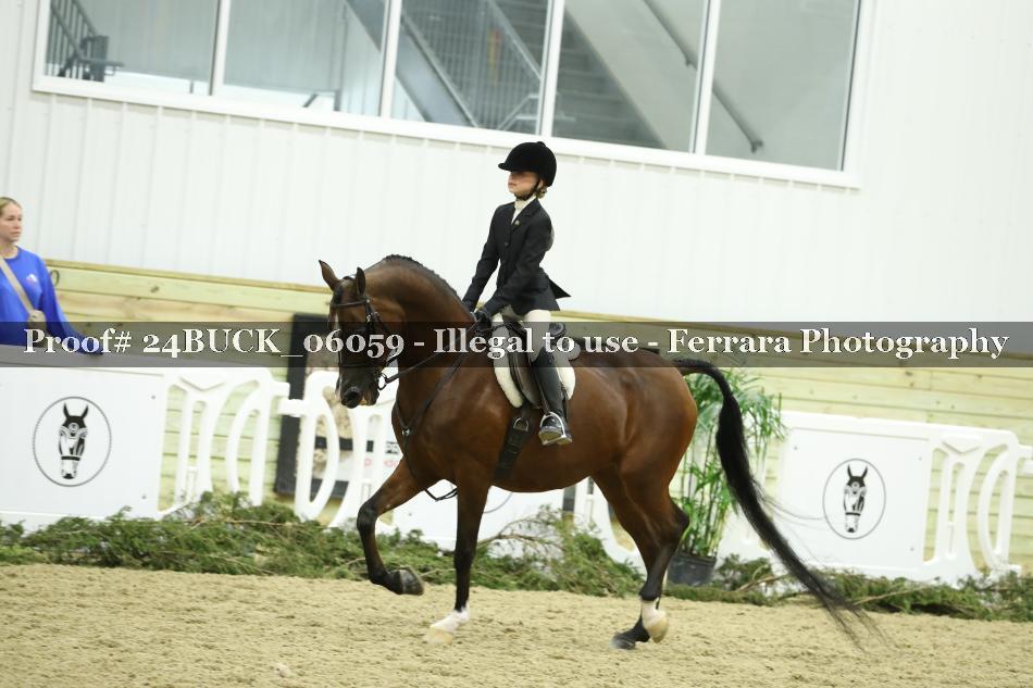 Proof 24BUCK_06059