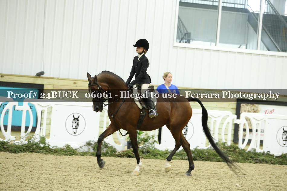 Proof 24BUCK_06061
