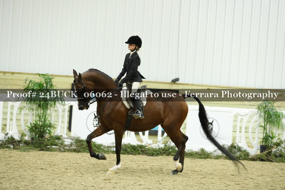 Proof 24BUCK_06062