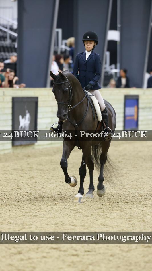 Proof 24BUCK_06064