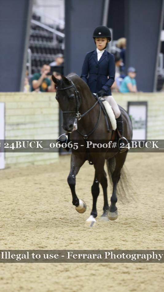 Proof 24BUCK_06065