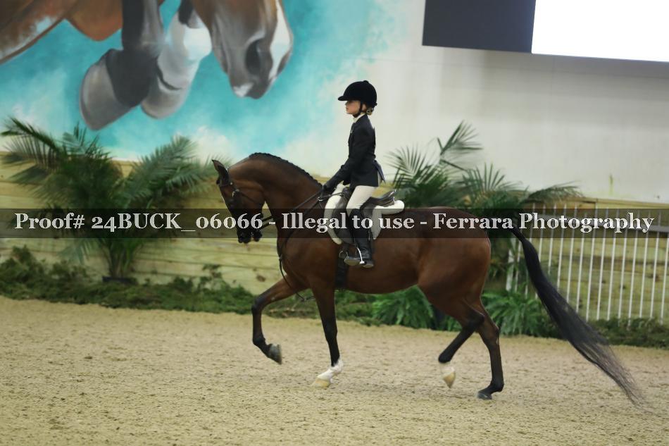 Proof 24BUCK_06066