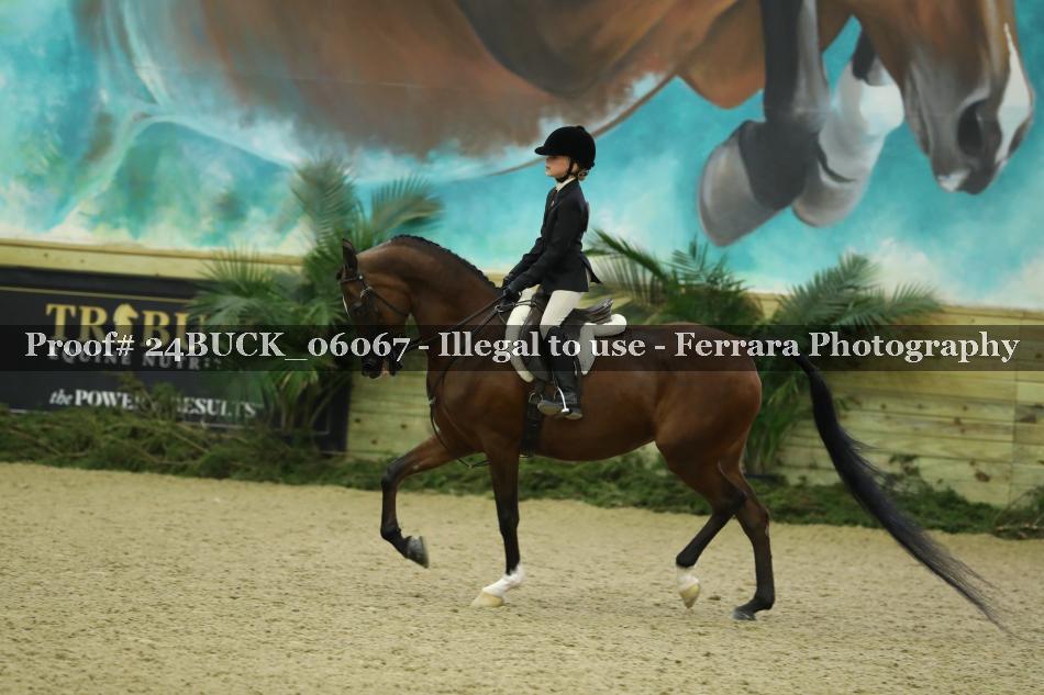Proof 24BUCK_06067