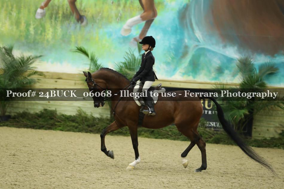 Proof 24BUCK_06068