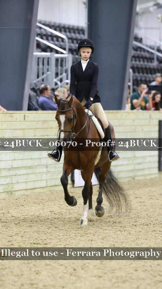 Proof 24BUCK_06070