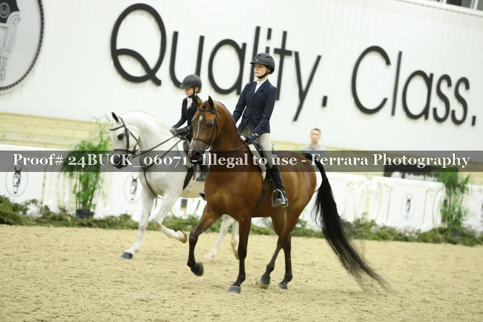 Proof 24BUCK_06071