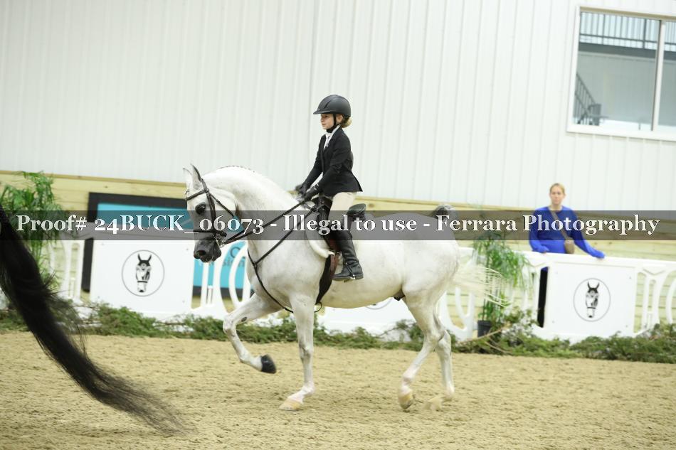 Proof 24BUCK_06073