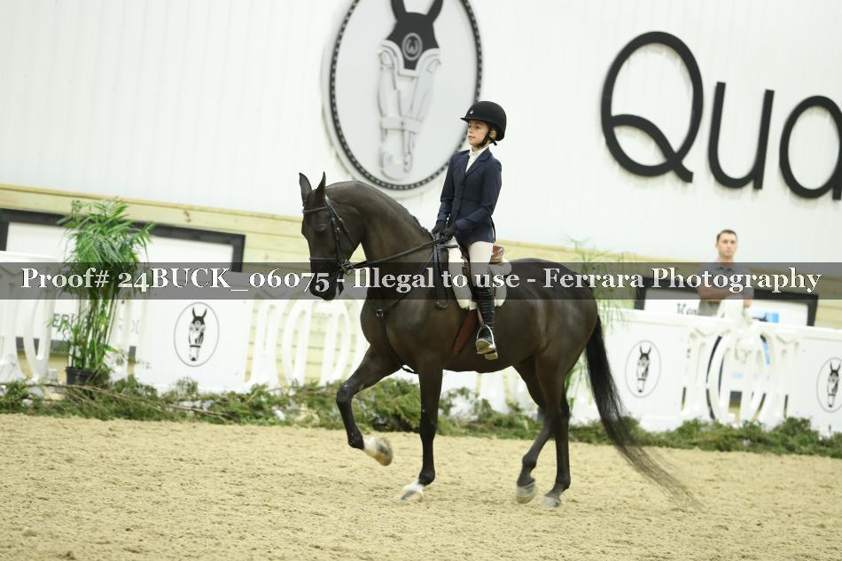 Proof 24BUCK_06075