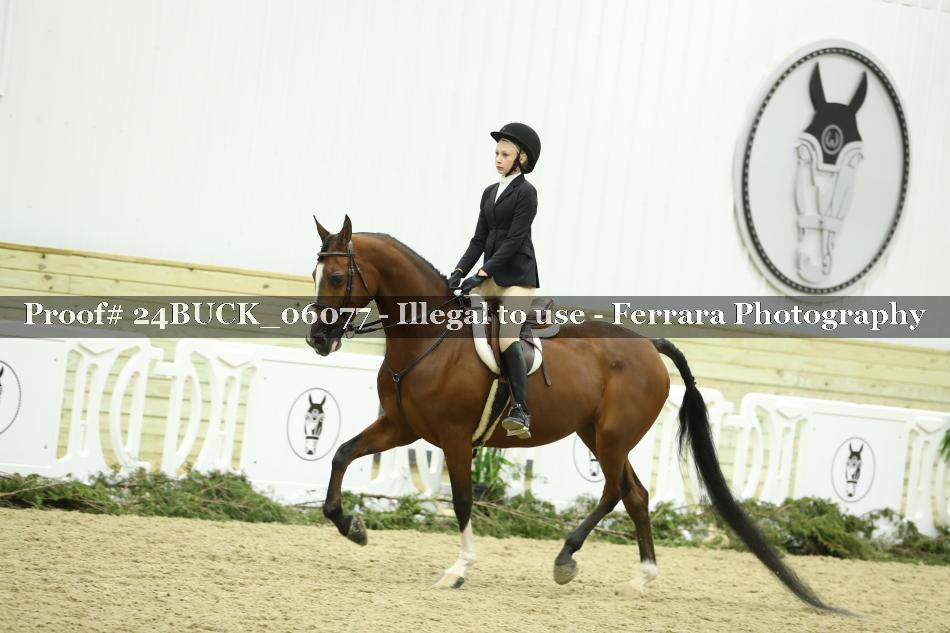 Proof 24BUCK_06077