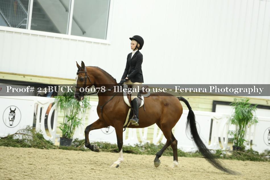Proof 24BUCK_06078