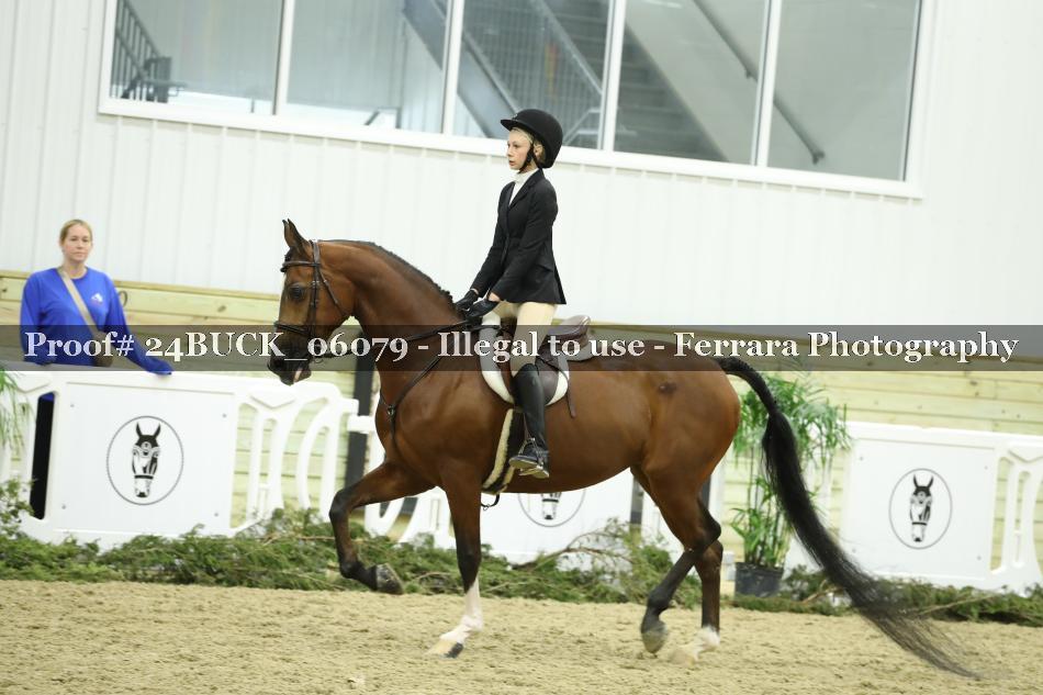 Proof 24BUCK_06079