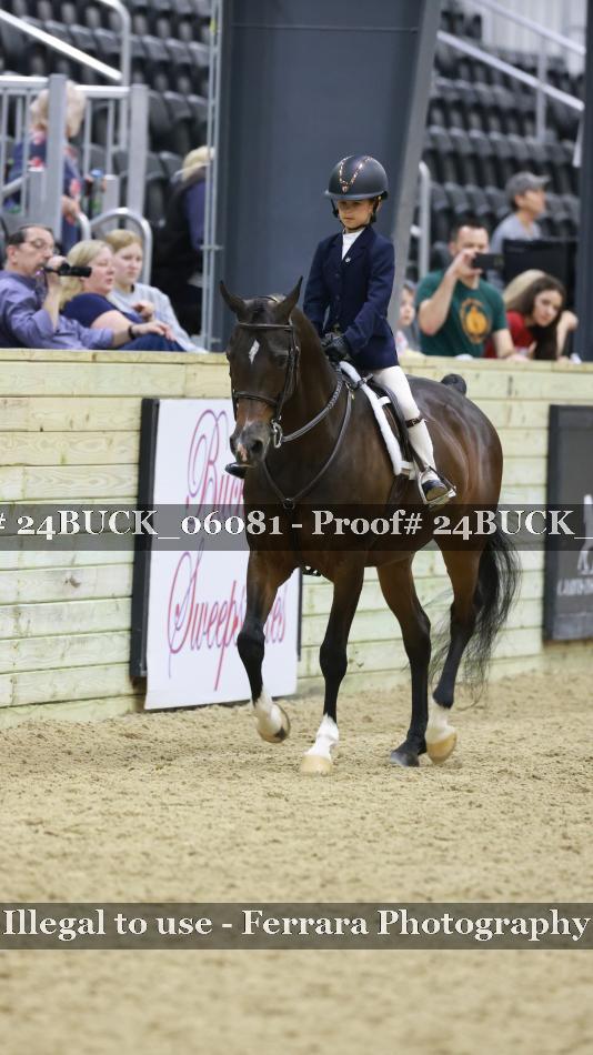 Proof 24BUCK_06081
