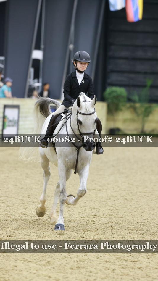 Proof 24BUCK_06082
