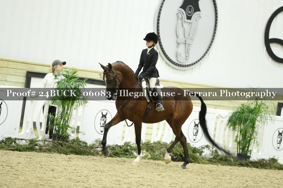 Proof 24BUCK_06083