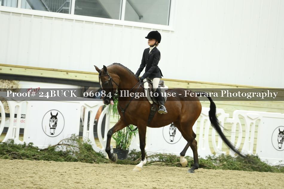 Proof 24BUCK_06084