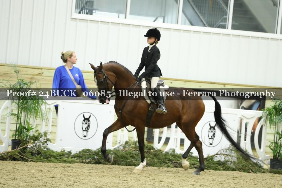 Proof 24BUCK_06085