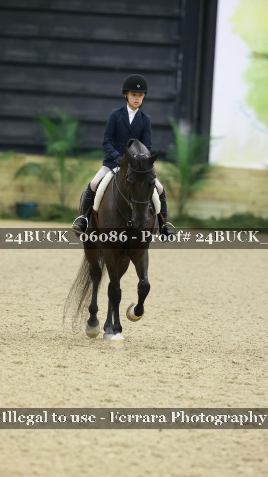 Proof 24BUCK_06086