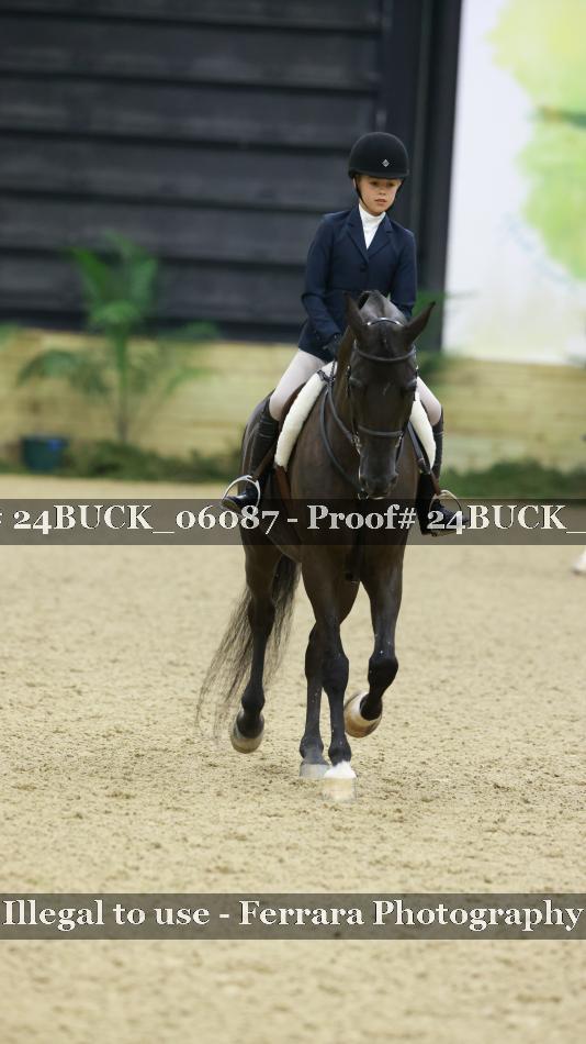 Proof 24BUCK_06087