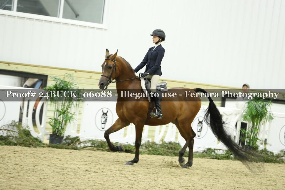 Proof 24BUCK_06088